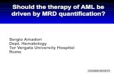 Should the therapy of AML be driven by MRD quantification? · AML02: A prospective, multicenter study of risk/MRD-directed therapy MRD monitored by FCM in 95% of pts MRD+: ≥ 0.1%