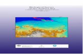 Biological Survey of the Arafura Sea · 2018-10-15 · Sea within the AEEZ. Area A, depth of 74mm was meant to be a sea floor sensor emplacement, but owing to equipment problems,