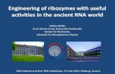Engineering of ribozymes with useful activities in … Mueller.pdfEngineering of ribozymes with useful activities in the ancient RNA world Sabine Müller Ernst‐Moritz‐Arndt Universität