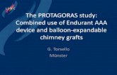 The PROTAGORAS study: Combined use of Endurant AAA device ... · the protagoras study: results 187 chimney graft deployed in 128 pts ( 1.5 ch-graft /patient) mean preoperative proximal