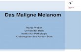 Das Maligne Melanom · Melanom bei Verwandten 1. Grades (erbliche Veranlagung bei ca. 5-10 %) Melanom in der Eigenanamnese Erkrankungen die das Immunsystem beeinträchtigen und schwächen