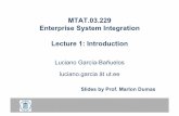 MTAT.03.229 Enterprise System Integration Lecture 1: Introduction · 2012-09-17 · presentation layer moves to the client. • Advantages: – It is possible to have multiple presentation