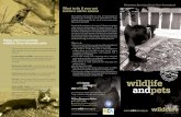 Wildlife and Pets Brochures proudly sponsored by Gold ...wildcareaustraliainc.camp9.org/resources/Documents... · Wildlife and Pets Brochures proudly sponsored by Gold Coast Airport.