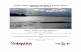 Aquatic Plant Community Assessment of the Ross Barnett ...€¦ · Aquatic Plant Community Assessment of the Ross Barnett Reservoir, MS in 2014 Gray Turnage1 and John D. Madsen2 1Mississippi