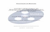 Dissertação de Mestrado-Rodolfo-FINAL2 · dissertação de mestrado estudo laboratorial do desempenho mecÂnico de misturas asfÁlticas com resÍduos industriais de minÉrio de