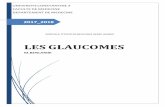 LES GLAUCOMESuniv.ency-education.com/uploads/1/3/1/0/13102001/... · 2018-09-07 · B.1.Définition . Le glaucome primitif à angle étroit, appelé également glaucome à angle fermé