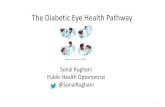 The Diabetic Eye Health Pathway...The Different Eye Care Professionals Integrated Person-Centred Eye Care Optometrist Diabetic Retinopathy Screener Ophthalmologis t Orthoptist 2 RehabilitationTypes