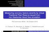 Measuring coronary lesions severity by virtual Fractional ...€¦ · Conclusions and perspectives Bibliography Measuring coronary lesions severity by virtual Fractional Flow Reserve