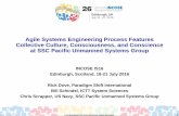 Agile Systems Engineering Process Features …...Agile Systems Engineering Process Features Collective Culture, Consciousness, and Conscience at SSC Pacific Unmanned Systems Group