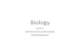 Biology ... Biology Unit 1: Cell Structure and Function Cell Metabolism. Lecture 1 Cell Structure and Function Plasma Membrane. Cell General Information •The human body contains