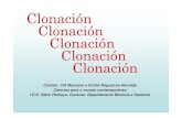Clonación - Galiciacentros.edu.xunta.es/iesoteropedrayo.ourense/dptos/... · -Clonación non reprodutiva: o embrión non se implanta nun útero. Dentro da clonación non reprodutiva