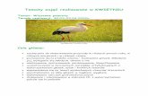 Tematy zajęć realizowane w KWIETNIU · 2020-03-24 · poznawanie życia ptaków wiosną – budowanie gniazd, składanie jaj, wyleganie się młodych, dbanie o nie analizowanie,