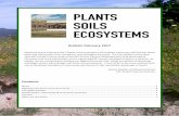 Bulletin February 2017 - WordPress.com · 2014-02-02 · February 2017 1 Bulletin February 2017 Welcome to the February 2017 Plants-Soils-Ecosystems SIG bulletin where you will find