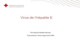 Virus de l’hépatite E...| page 4 L‘hépatite E dans le monde GT 3 GT 1 GT 4 GT 1,2 GT 1 GT 2 GT 2 • ~20 millions d’infections de VHE dans le monde entier / an; 3 millions