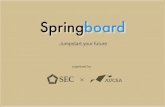 Springboard - irp-cdn.multiscreensite.com · and internship opportunities to enrich their skills and knowledge beyond academics. As an honours program and a university college (UC)