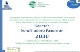 Устойчивого Развития 2030 · •Санкт-Петербургский Кластер неформального образования в интересах устойчивого