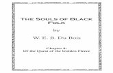 by W. E. B. Du Bois · The Souls of Black Folk: Chapter 8 by W. E. B. Du Bois 4 Created for Lit2Go on the web at etc.usf.edu. homes, we ﬁnd much that is unsatisfactory. All over