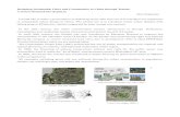 Designing Sustainable Cities and Communities in China ... · Next Generation Vehicle Solar/Wind Power Generation ECO-Lake ... LRT (BRT) 11. 12 This case shows a resort city in Panjin