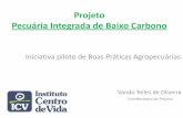 Projeto Pecuária Integrada de Baixo Carbono...2013/08/13  · Fatos Antecedentes •Visita Paragominas – Out 2.011 •Projeto Pecuária Verde (Fundo Vale) •Curso Monitores Programa