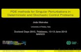 PDE methods for Singular Perturbations in Deterministic and Stochastic Control …itn-sadco.inria.fr/.../Joao.pdf/at_download/Joao.pdf · 2013-06-20 · PDE methods for Singular Perturbations