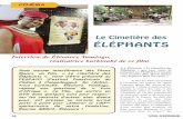 CInÉMA - Les Missionnaires d'Afrique Pères Blancs Franceperesblancs.org/interview_eleonore_Yameogo.pdf · Je fais des films qui parlent à l’humain, qui tentent de capter l’essence
