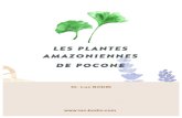 Les plantes amazoniennes - Dr Luc BODINdrlucbodin.bebooda.fr/.../09/Les-plantes-amazoniennes.pdf · LES PLANTES AMAZONIENNES DE POCONE Dr. Luc BODIN . 2 L’Amazonie constitue un