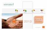 Sénégal Mali Bissau Guinée - Abidjan.net · projets de lois en cours dans le secteur des télécommunications: surtaxe sur les appels entrants, ... S1 2011 S1 2012 S1 2013 ∆