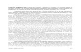 Giuseppe ALBERIGO (dir.),dadun.unav.edu/bitstream/10171/52028/1/25480-75305-1-PB.pdf · Giuseppe ALBERIGO (dir.), Storia del concilio Vaticano II. Volume 3: // concilio adulto. Il