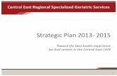 Strategic Plan 2013- 2015 - CentralEastLHIN/media/sites/ce/... · System planning (Strategic Plan and Priorities) Service coordination Performance monitoring Advocacy, communication