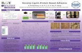 Develop Lignin-Protein Based Adhesive...strength of protein based adhesive and utilize lignin for value-added product. 2. To study the effect of protein to lignin ratio and lignin