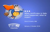 White certificates in Italy: what happened, what to expectblog.fire-italia.org/wp-content/uploads/2018/11/... · electric motors, compressed air generation, smart bill, naval propulsion