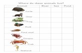 Animal River Sea Pond ... Where do these animals live? Animal River Sea Pond Turtle Otter Frog Duck Pond snail Octopus Crab Seahorse Title Microsoft Word - Where do these animals live