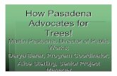 How Pasadena Advocates for Trees!actrees.org/files/Research/Barar.pdf · Public outcry for tree protection! People called for changes in regulations in response to ... better tree