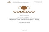 CODELCO-DIVISIÓN GABRIELA MISTRAL ...w.codelco.cl/prontus_codelco/site/artic/20170530/...2017/05/30  · Corporación Nacional del Cobre Codelco Chile División Gabriela Mistral Dirección