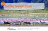 TANZANIA ZANZIBAR SPECIAL - Viaggigiovani.it · 2018-05-14 · Tour Tanzania Zanzibar Special –Scheda di viaggio 2 Durata Numero partecipanti 12 giorni Min 10, ... Stone Town. All’arrivoulteriore