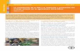 La contribución de la FAO a la reducción y prevención del trabajo infantil … · 2017-11-28 · y reducción del trabajo infantil. En los nuevos procedimientos internos de la