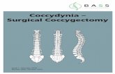 06339-19 Coccydynia surgical coccygectomy · 2020-08-07 · There are many ways to . Page 8 reduce the risk of a blood clot forming. ... stop taking any medication which contains