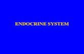 ENDOCRINE SYSTEM - Warner Pacific Universityclasspages.warnerpacific.edu/BDuPriest/BIO 102... · Endocrine Glands Endocrine glands Glandular tissues that secrete products (hormones)