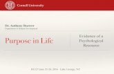 Evidence of a Purpose in Life Psychological Resource (2016).pdf · 2019-03-27 · Purpose: Deﬁning Characteristics Purpose is a central, self-organizing life aim that stimulates