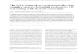 TheRNA-inducedtranscriptionalsilencing complex targets ...genesdev.cshlp.org/content/30/23/2571.full.pdf · the leo1+ gene was deleted. Leo1 is a protein subunit of Paf1C,whichinhibitssiRNA-directedassemblyofhetero-chromatin