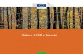 Natura 2000 e foreste - European Commission · 2016-05-27 · Natura 2000 e foreste 1 FINALITÀ Perché un nuovo documento su Natura 2000 e le foreste? Il presente documento è stato
