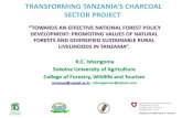TRANSFORMING TANZANIA’S CHARCOAL SECTOR PROJECT...May 02, 2018  · Ngorongoro –Serengeti), 4 World Heritage Sites(Selous Game Reserve, Ngorongoro Conservation Area, Serengeti