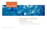 International Trade Mark Licensing · 2020-04-14 · Taking Your Brand Global International Trade Mark Licensing Arthur Artinian, ... Digital and social media Generic top level domains