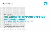 US Equities US GROWTH OPPORTUNITIES OUTSIDE FANG*acties.trends.knack.be/acties/trends/investmentsummit/files/Price.pdf · December 2010 – January 2016 Facebook Google S&P 500 0