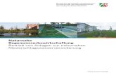 Regenwasserbewirtschaftung Betrieb von Anlagen zur naturnahen ... · 2010-07-16 · Januar 2009 Referat IV-7 Abwasserbeseitigung,VAwS ... Gestaltung und Realisation: KAISERIngenieure,Dortmund