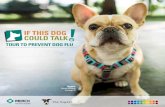 TOUR TO PREVENT DOG FLU · 2017-08-11 · is not the case for dogs. The first strain of dog flu in the United States was discovered in 2004. The strain–H3N8–has since been found