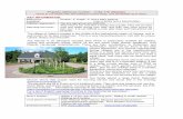 Property reference number: - A182-176 (Veluwe KEY ...pics2.pdf · The family attend a large Dutch Reformed Church where 400 people meet for morning service and about 200 in the evening.