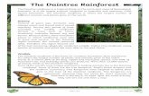The Daintree Rainforest€¦ · The Daintree Rainforest The Daintree rainforest is a tropical forest on the north east coast of Queensland, Australia. It is the largest tropical rainforest