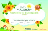 Certificate of Participation 2019 - Daltons Ltd · 2019-06-12 · Certificate of Participation For the successful completion of growing a sunflower in the 2019 Daltons Sunflowers