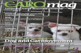 Companion Animal Responsible Ownershipcarocat.eu/wp-content/uploads/2016/08/caromag-2016-low-resolutio… · 11.5 million owned cats Unknown number of cats abandoned each year Adoption